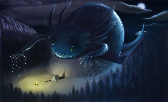 Ambystoma meksykańska – tapety na pulpit (14)