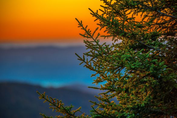 Blue Ridge Parkway – tapety na smartfon i tablet (11)