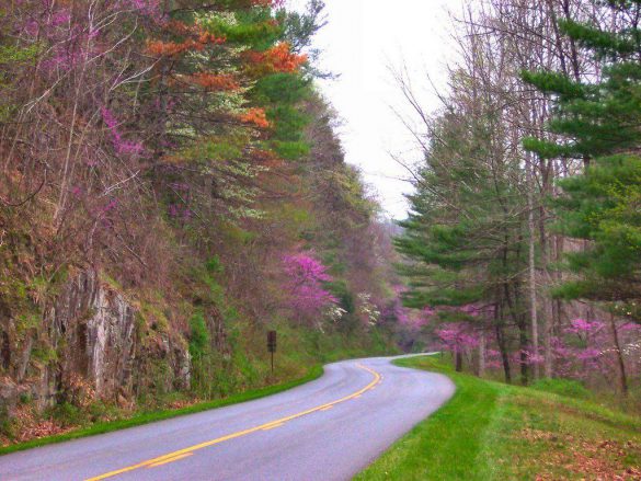 Blue Ridge Parkway – tapety na smartfon i tablet (13)