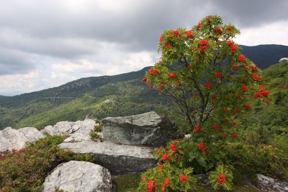 Blue Ridge Parkway – tapety na smartfon i tablet (14)