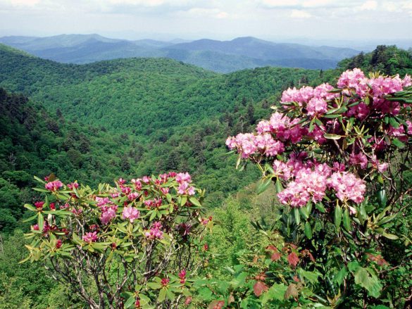 Blue Ridge Parkway – tapety na smartfon i tablet (4)