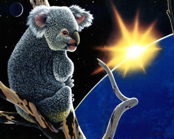 Koala – tapety na pulpit (6)