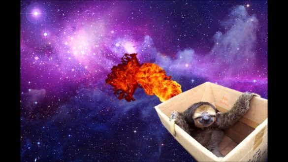 Leniwiec – tapety na smartfon i tablet (9)