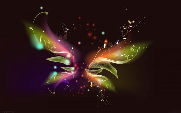 Motyl – tapety na smartfon i tablet (14)