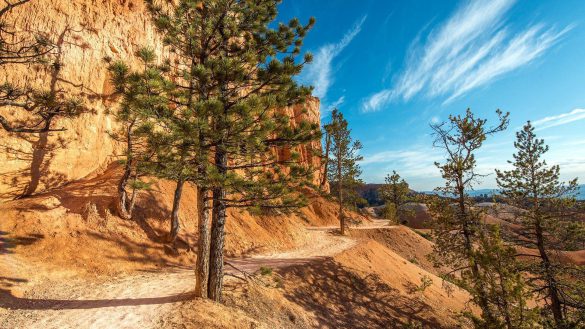 Park Narodowy Bryce Canyon – tapety na smartfon i tablet (14)