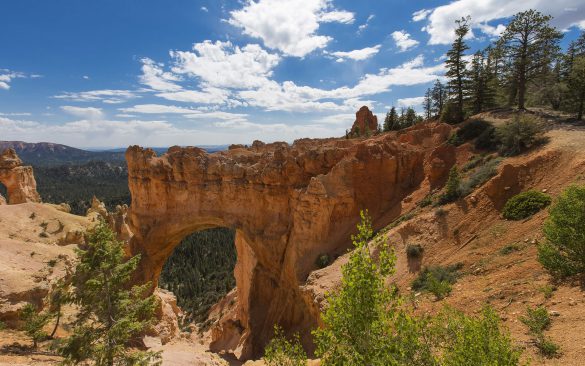 Park Narodowy Bryce Canyon – tapety na smartfon i tablet (3)