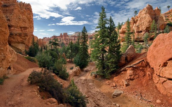 Park Narodowy Bryce Canyon – tapety na smartfon i tablet (7)
