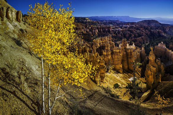 Park Narodowy Bryce Canyon – tapety na smartfon i tablet (8)