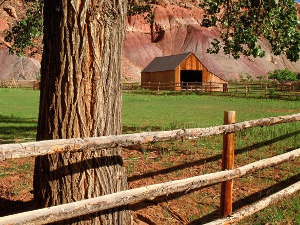 Park Narodowy Capitol Reef – tapety na smartfon i tablet (12)