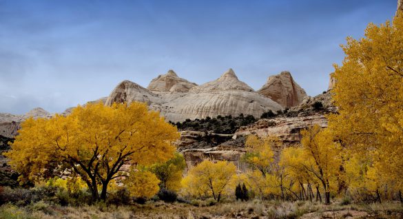 Park Narodowy Capitol Reef – tapety na smartfon i tablet (8)
