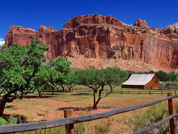 Park Narodowy Capitol Reef – tapety na smartfon i tablet (9)
