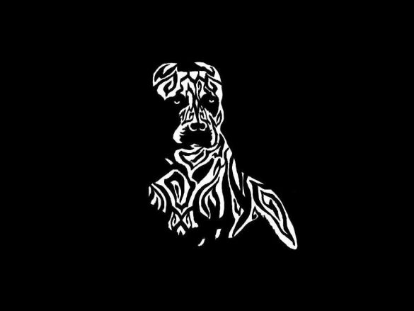 Pit Bull – tapety na pulpit (1)