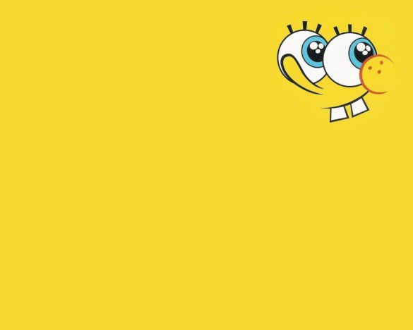 SpongeBob – tapety na smartfon i tablet (8)