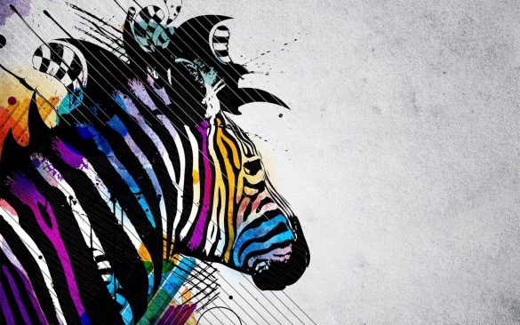 Zebra – tapety na smartfon i tablet (1)
