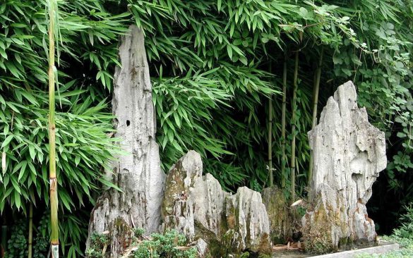 Bambusowy las Sagano – tapety na pulpit (18)