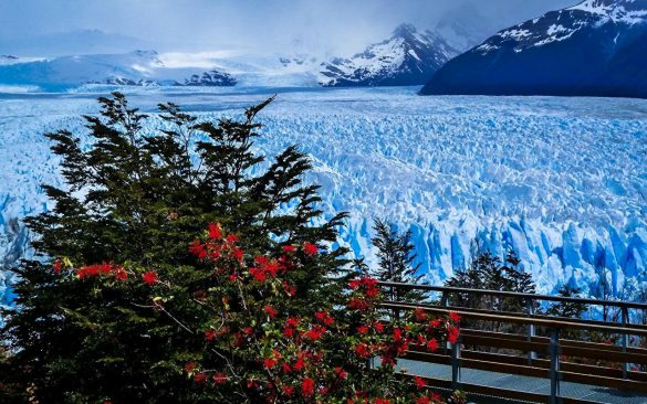 Lodowiec Perito Moreno – tapety na smartfon i tablet (4)