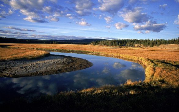 Nil – tapety na smartfon i tablet (3)