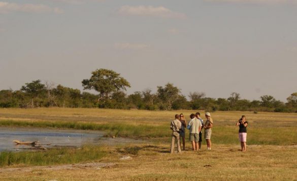 Nxai Pan – tapety na pulpit (12)