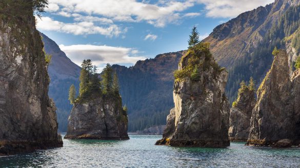 Park Narodowy Kenai Fjords – tapety na smartfon i tablet (19)