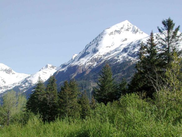 Park Narodowy Kenai Fjords – tapety na smartfon i tablet (5)