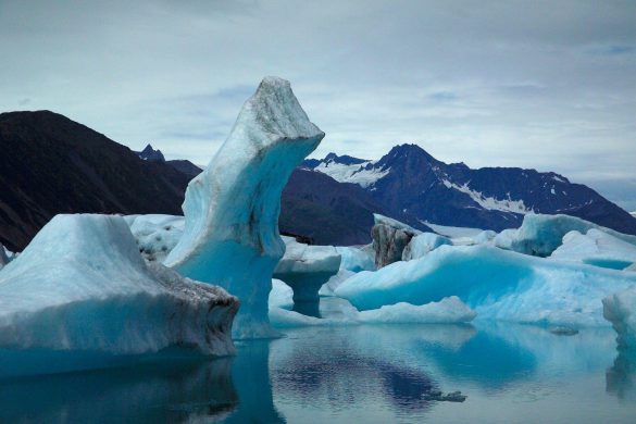 Park Narodowy Kenai Fjords – tapety na smartfon i tablet (8)