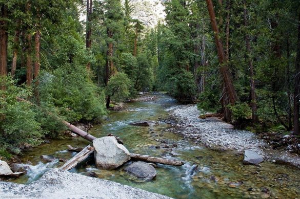 Park Narodowy Kings Canyon – tapety na smartfon i tablet (7)