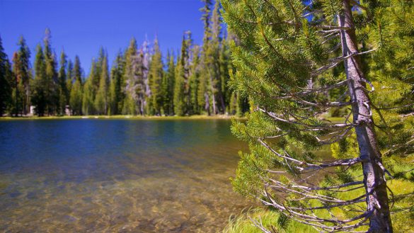 Park Narodowy Lassen Volcanic – tapety na smartfon i tablet (19)