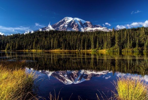 Park Narodowy Mount Rainier – tapety na smartfon i tablet (11)