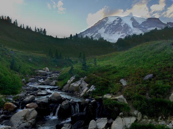 Park Narodowy Mount Rainier – tapety na smartfon i tablet (12)