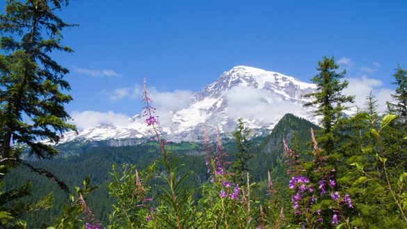 Park Narodowy Mount Rainier – tapety na smartfon i tablet (13)