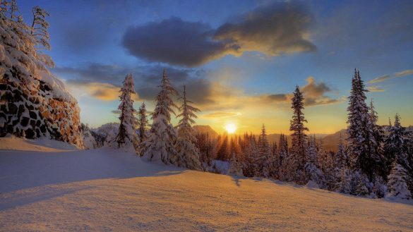 Park Narodowy Mount Rainier – tapety na smartfon i tablet (16)