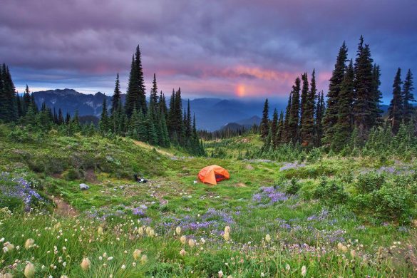 Park Narodowy Mount Rainier – tapety na smartfon i tablet (20)
