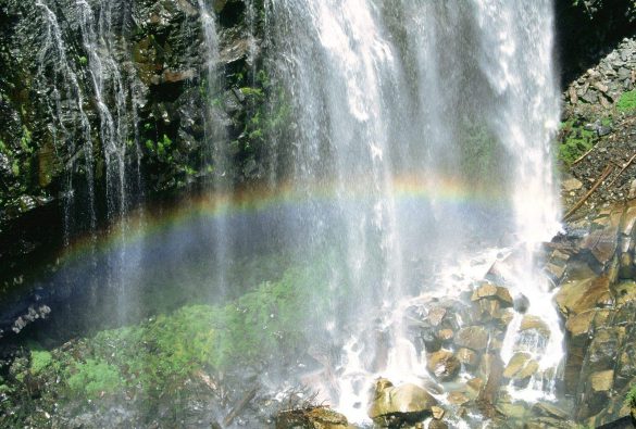 Park Narodowy Mount Rainier – tapety na smartfon i tablet (4)
