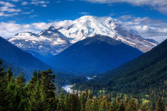 Park Narodowy Mount Rainier – tapety na smartfon i tablet (5)