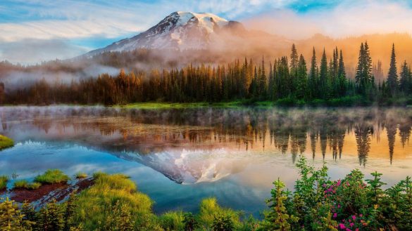 Park Narodowy Mount Rainier – tapety na smartfon i tablet (6)