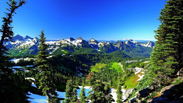 Park Narodowy Mount Rainier – tapety na smartfon i tablet (7)