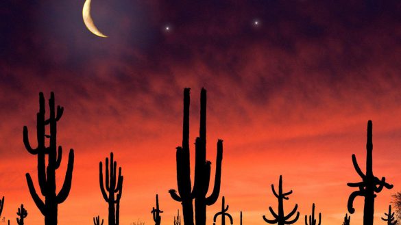 Park Narodowy Saguaro – tapety na pulpit (14)