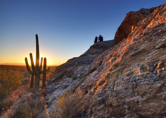 Park Narodowy Saguaro – tapety na pulpit (18)
