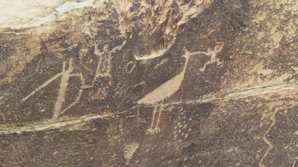 Park Narodowy Skamieniałego Lasu – tapety na smartfon i tablet (10)