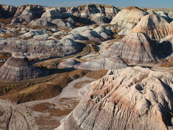 Park Narodowy Skamieniałego Lasu – tapety na smartfon i tablet (12)