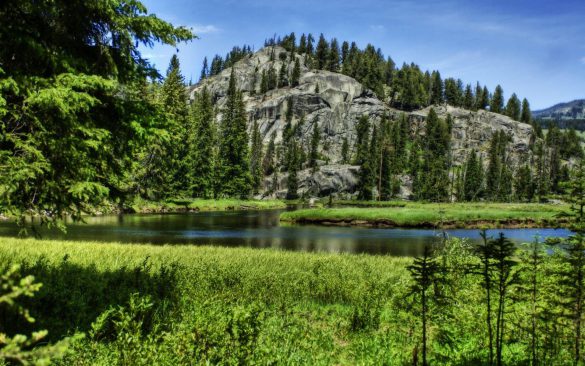 Park Narodowy Yellowstone – tapety na smartfon i tablet (11)