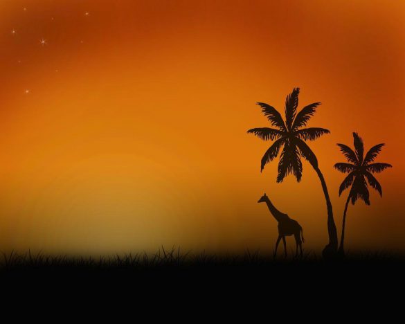 Safari – tapety na pulpit (8)