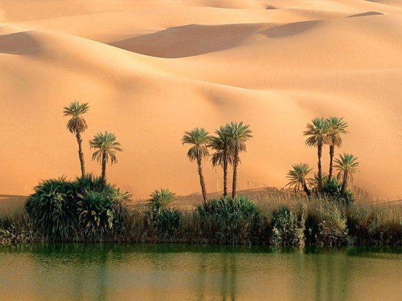 Sahara – tapety na smartfon i tablet (14)