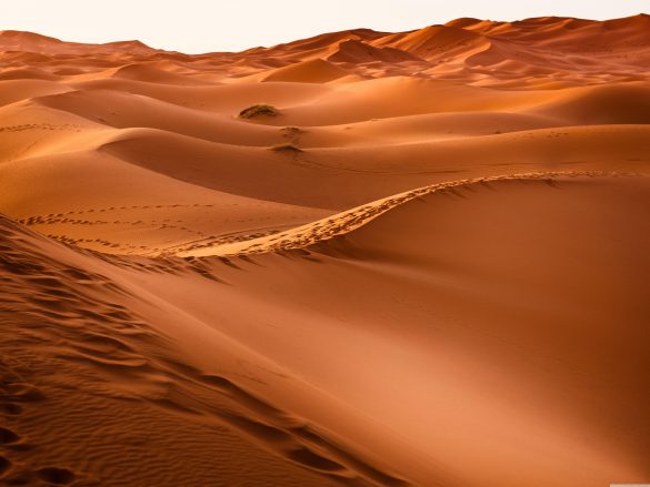 Sahara – tapety na smartfon i tablet (2)