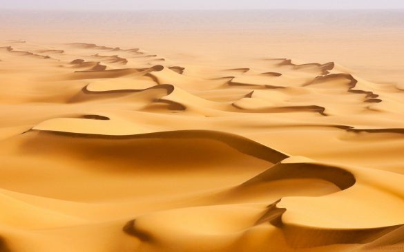 Sahara – tapety na smartfon i tablet (20)