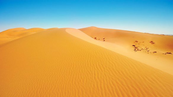 Sahara – tapety na smartfon i tablet (4)