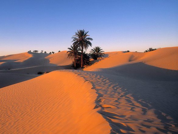 Sahara – tapety na smartfon i tablet (6)