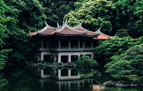 Shinjuku Gyoen – tapety na pulpit (11)