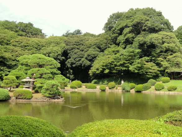 Shinjuku Gyoen – tapety na pulpit (12)