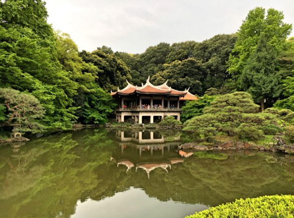 Shinjuku Gyoen – tapety na pulpit (15)
